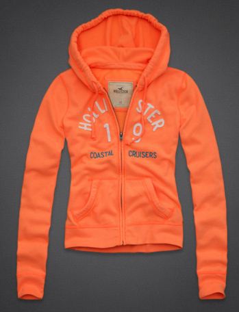 Sweat & Hoody Hollister Femme Pas Cher